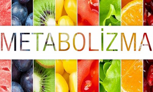 Metabolizma hızı ve yiyecekler